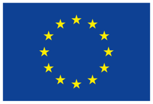 COMUNICARE A COMISIEI CĂTRE PARLAMENTUL EUROPEAN, CONSILIU, COMITETUL ECONOMIC ȘI SOCIAL EUROPEAN ȘI COMITETUL REGIUNILOR
